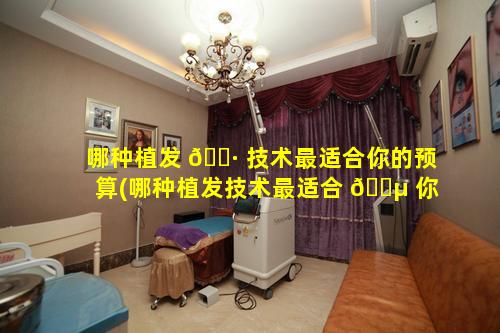 哪种植发 🌷 技术最适合你的预算(哪种植发技术最适合 🌵 你的预算方法)